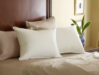 pacific coast pillow in Bed Pillows