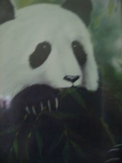 Bob Ross Painting Packet~Wildlif​e~Panda