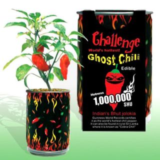 Magic Plant Vegetable Ghost Chilli Pepper  Bhut Jolokia