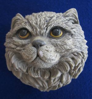 Bosson Head Persian cat