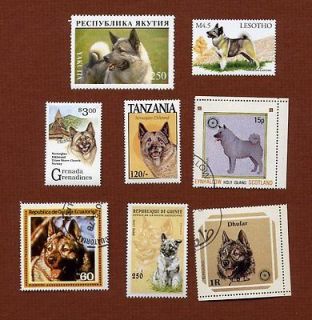 Norwegian Elkhound dog postage stamps set of 8
