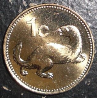 Malta 1 cent Common Weasel Ferret animal coin
