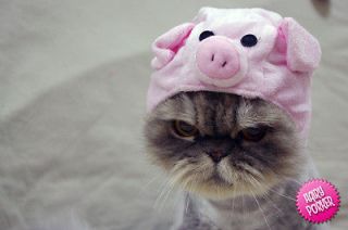   Pet Hat for Cat and Dog] Costume / Cap / Halloween / Pig / 2 Size