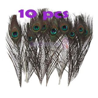   20pcs real Natural color Peacock Tail Feathers 10 12 inches 25 30 cm