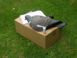 The Magic Pecker Pigeon Decoy Head & Body Moves Great magnet. See 