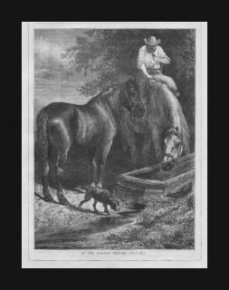 Horses at the Trough, Antique Engraving, Original Print 1876