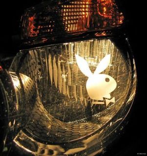 PlayBoy Head or Tail LIGHT decal etched sticker graphic vinyl bunny 