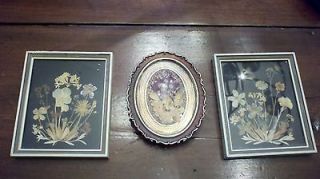 Victorian pressed flowers in frames, lot of 3