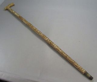 Antique Shark Vertebrae & Gold Cane Walking Stick Holmes