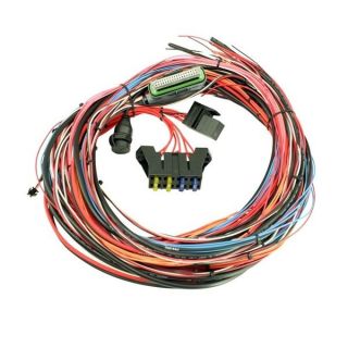   30 2905 30 96 Wiring Harness w/ Fuse and Relay Panel for EMS 4