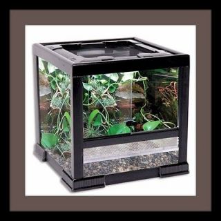 Reptology Ecosystem I glass reptile cage for reptiles and amphibians