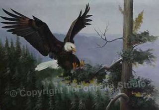 American Bald Eagle Landing   Original Oil Art Painting