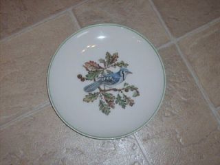 bluejay in Collectibles