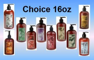 Wen Cleansing Conditioner Shampoo Choice 16oz w/pump by Chaz Dean Hair 