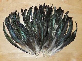 50 NATURAL BLACK BRONZE COQUE ROOSTER TAIL FEATHERS (8 to 10 inches)