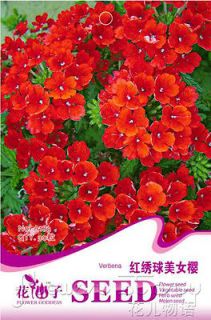   Seed ★ 30 Red Hydrangea Verbena Flower Seed Blooming Bright Popular