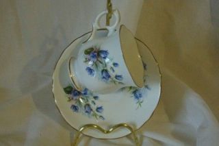 Crown Staffordshire Bone China Blue Violets Floral Cup And Saucer Set