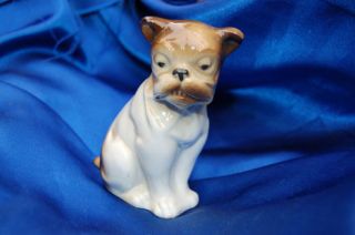 Porcelain Bully dog Old English Bulldog w TEETH SHOWING Germany 