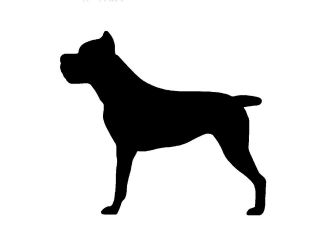 CANE CORSO metal steel not painted 10 inch silhouette