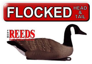 Tanglefree Canada Goose Floater Decoy (Flocked Head+Tail) 4 PACK 