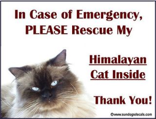 HIMALAYAN CAT   In Case of Emergency Rescue my HIMALAYAN   Window 