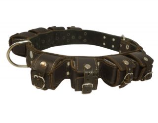   Leather Weighted Training Dog Collar Fits 24 30 neck size Cane Corso