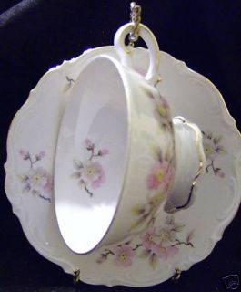 Mitterteich Bavaria Germany Cup and Saucer Springtime