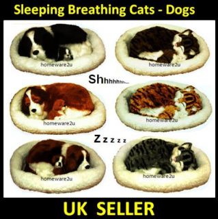 SLEEPING PET BREATHING DOG CAT PUPPY SOFT ANIMATED SNORING KIDS TOYS 