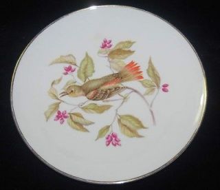 Mitterteich Bavaria Pattern #6496 DEBRA (BIRDS) Salad Plate (A)