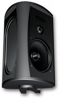 Definitive Technology AW 5500 Black (Ea) Outdoor Speaker