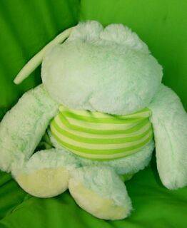 Baby Gund Green Frog Frogers Froggers Silly Stripes Pull String 