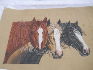   Needlepoint Canvas Liz Goodrick Dillon Study of Three Horses