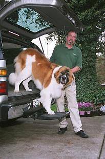 OTTO DOG PET STEP TRUCK SUV VAN HITCH PLATFORM STAIR