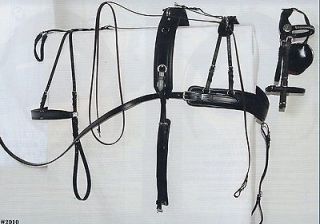 horse team harness in Driving, Horsedrawn