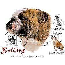 Bulldog (English) T Shirt Size L (Old shop stock)