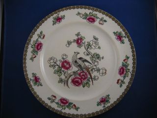 Winkle Whieldon Ware Pheasant Pattern Dinner Plates