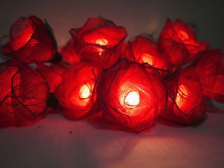 20 Red Roses Flower Fairy Lights String 11ft Party/Wedding/Decor/Spa 