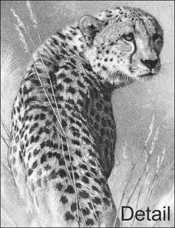   Art Signed Print Pencil Drawing Ltd Ed Cheetah + free Gary Hodges card