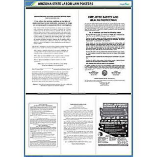 Accounting / Forms / Security Labor Law & Safety Posters