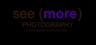 See(More) Photography by L Squared