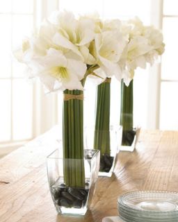White Amaryllis Floral Arrangement   The Horchow Collection