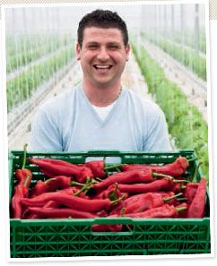 Growing British sweet pointed peppers is a real skill, explains Joe 