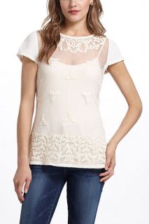Embroidered Tulle Blouse   Anthropologie