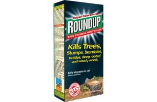 Roundup Tree Stump and Root Killer   250ml from Homebase.co.uk 
