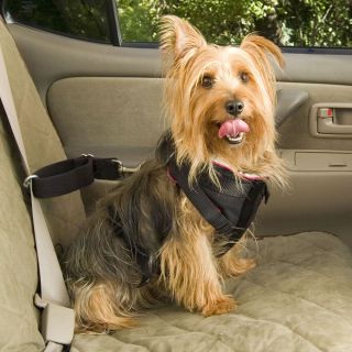 The Pet Seat Belt (Medium)   Hammacher Schlemmer 