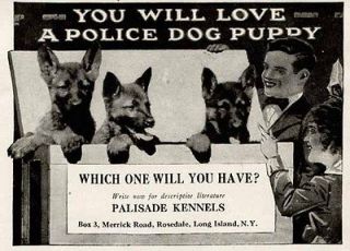 1919 PALISADES KENNELS AD FOR GERMAN POLICE DOG PUPPIES