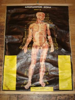Greece vintage wall school canvas cloth chart Human Body II FRONT 