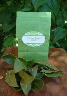Premium Bay Leaf Dried Herb   Laurus Nobilis   Culinary, Antiseptic 
