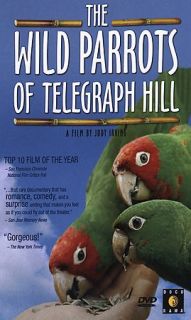 Wild Parrots of Telegraph Hill DVD, 2005