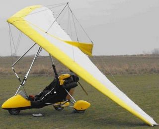 Mercury Flying Wing Mainair Sports Ultralight Trike Wood Model Replica 